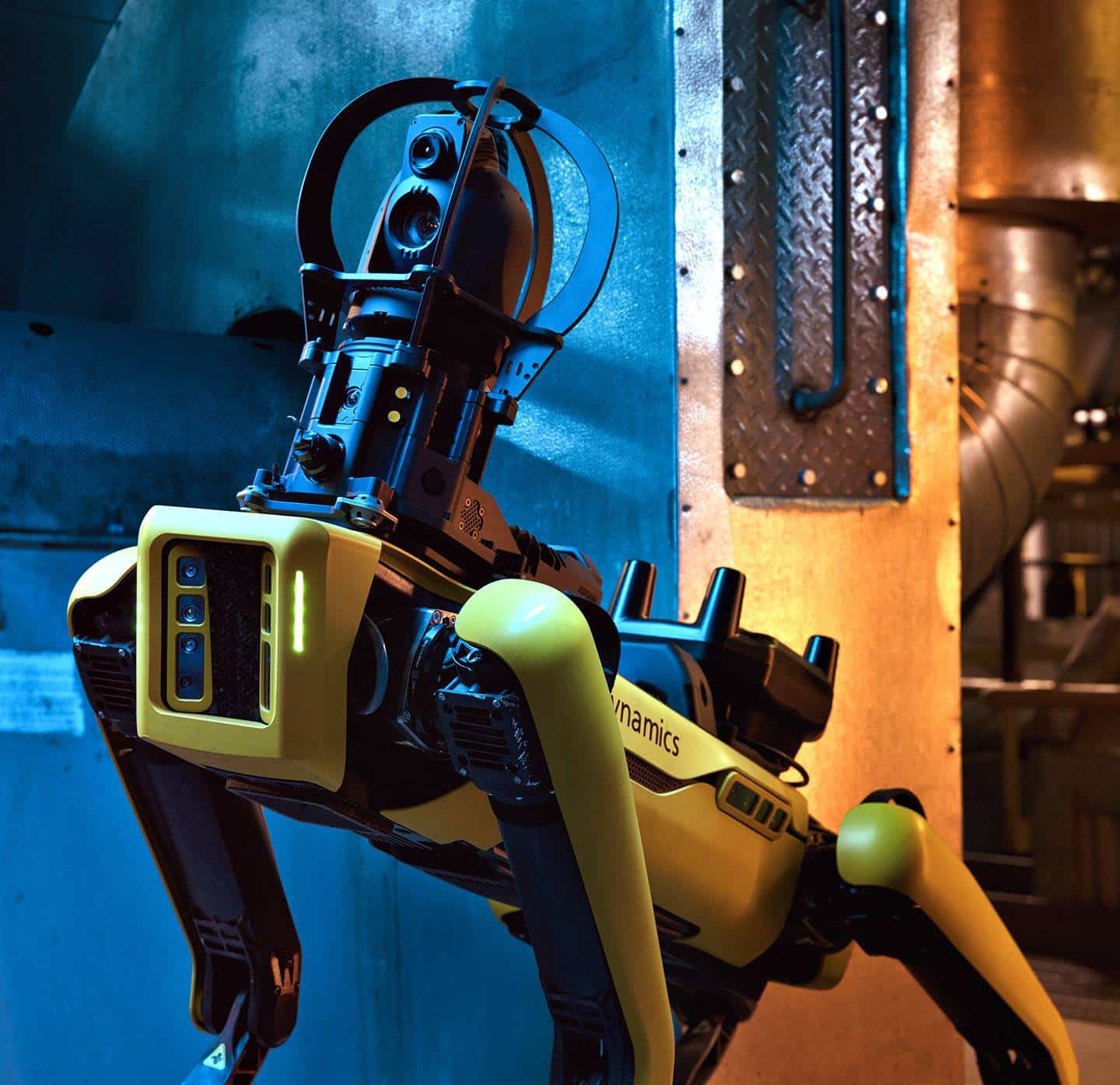 Spot Robot